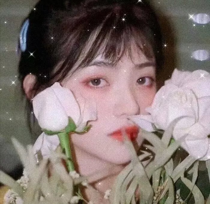 叠影惊潮